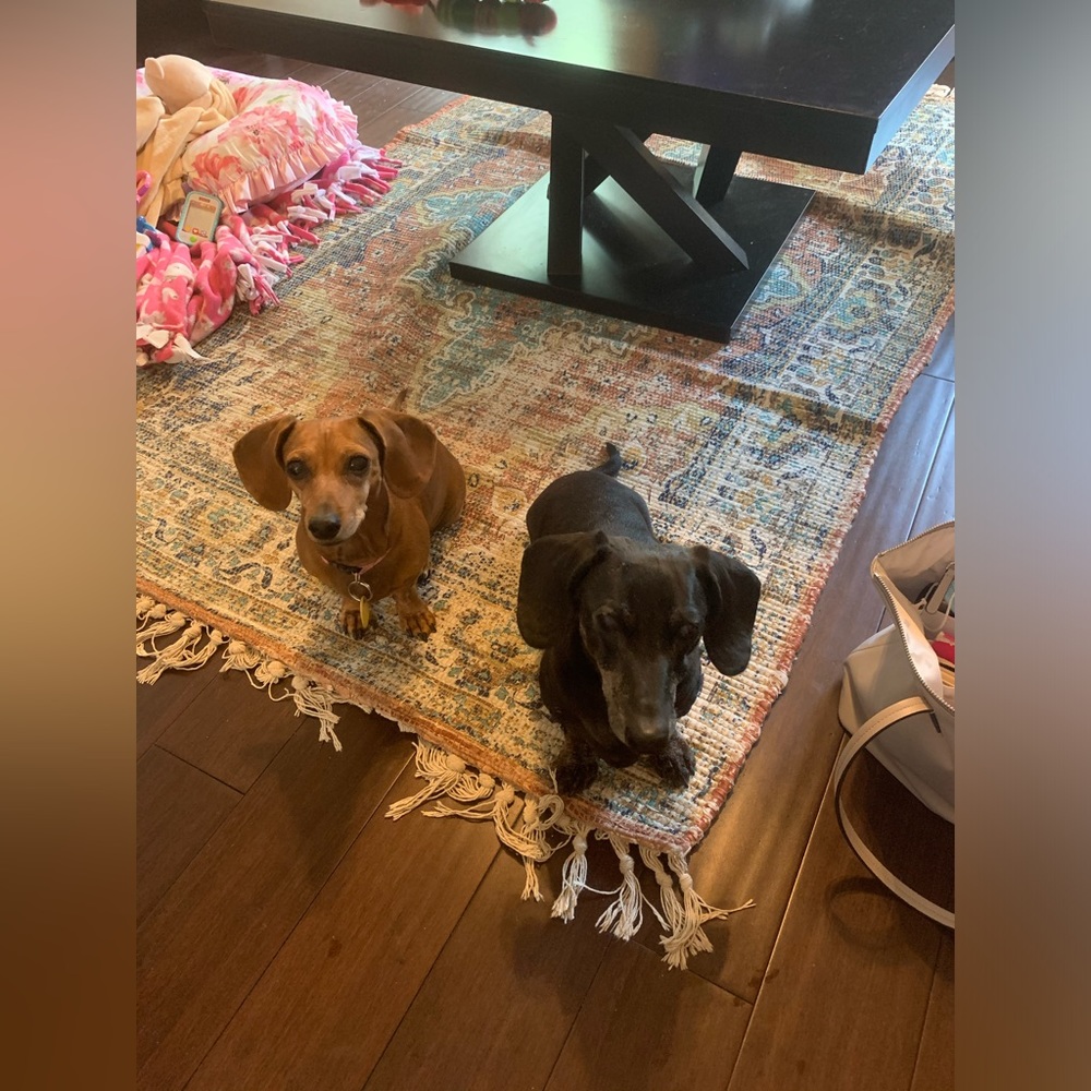 Meet your Posher, Stacy